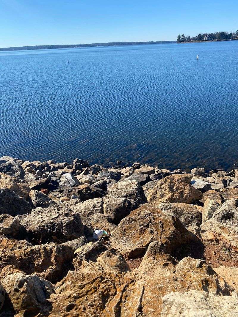 Striper Country And Bass Bragging Rights