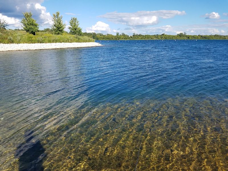 Water So Clear You Can Watch The Fish Swim Past