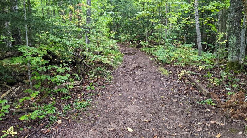 What The Path Feels Like Under Your Feet