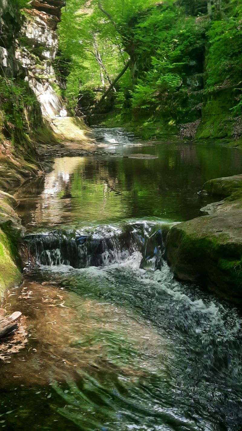 A Walk So Short You Will Wish It Were Longer