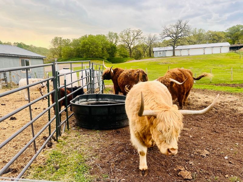 Why This Farm Deserves A Spot On Your Travel List