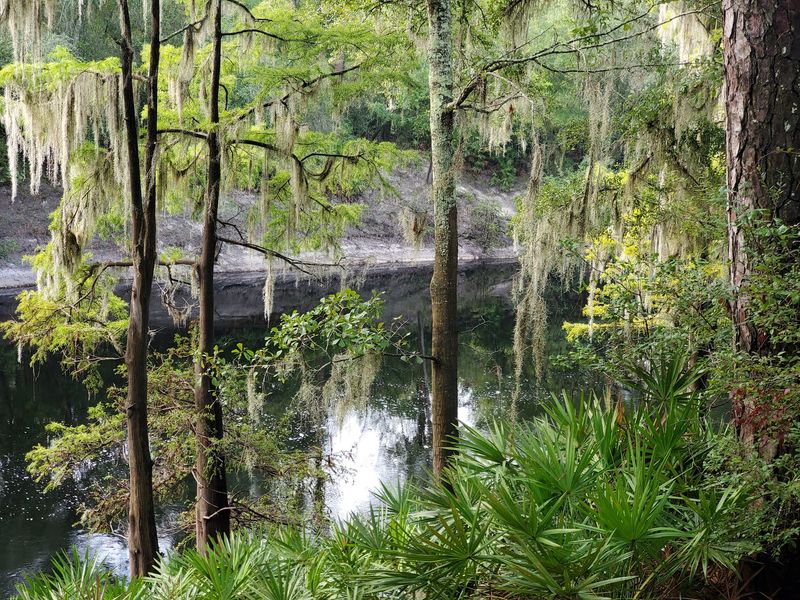 The Refuge Next Door
