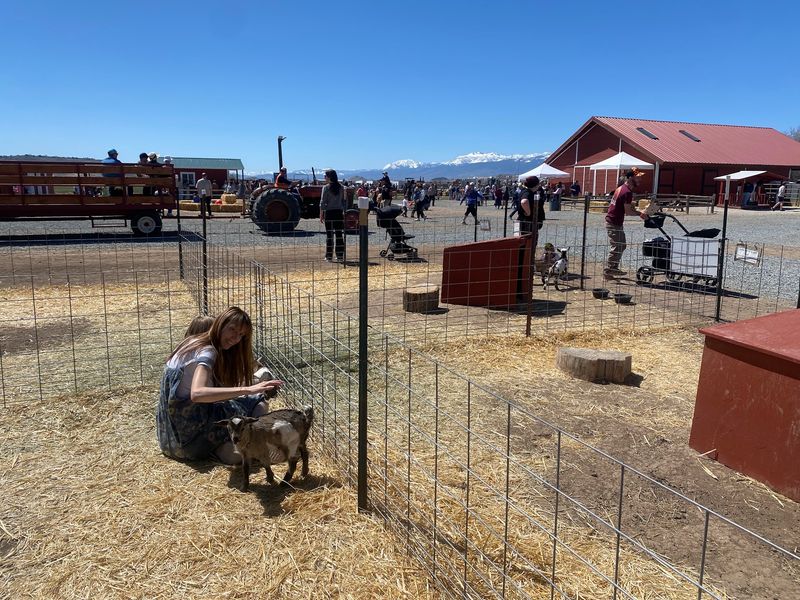 Wagon Rides And Barrel Trains
