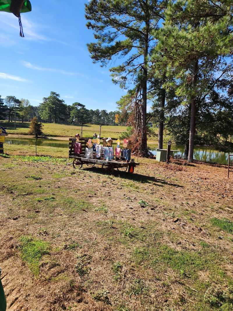 Wagon Rides Rolling Past The Working Acres