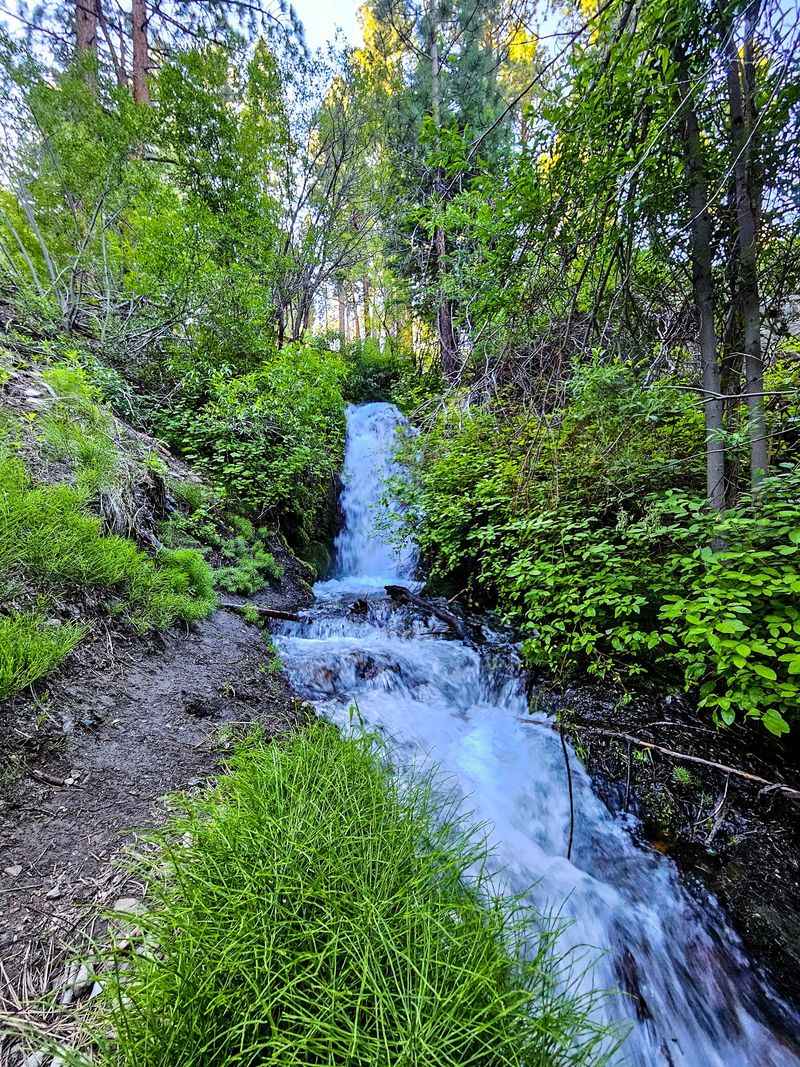 Rock, Springs, And The Shape Of The Canyon