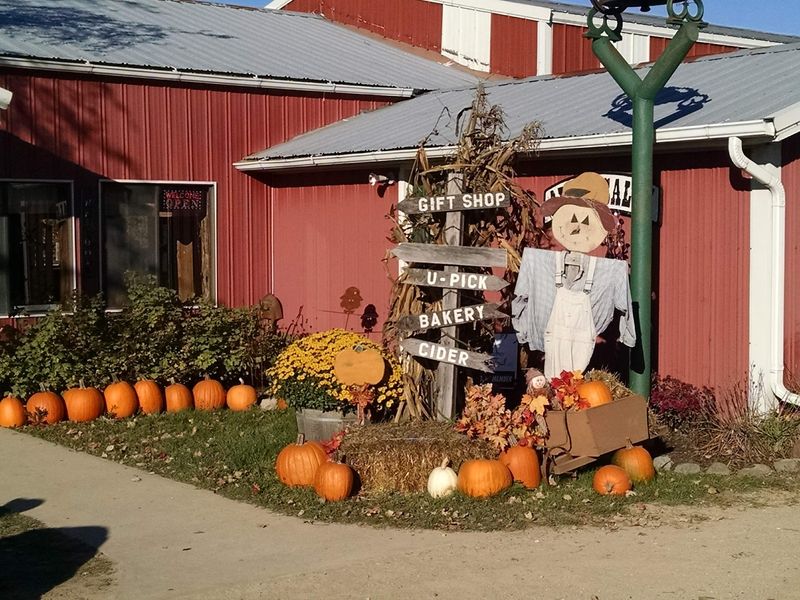 Finding The Farm On M-61