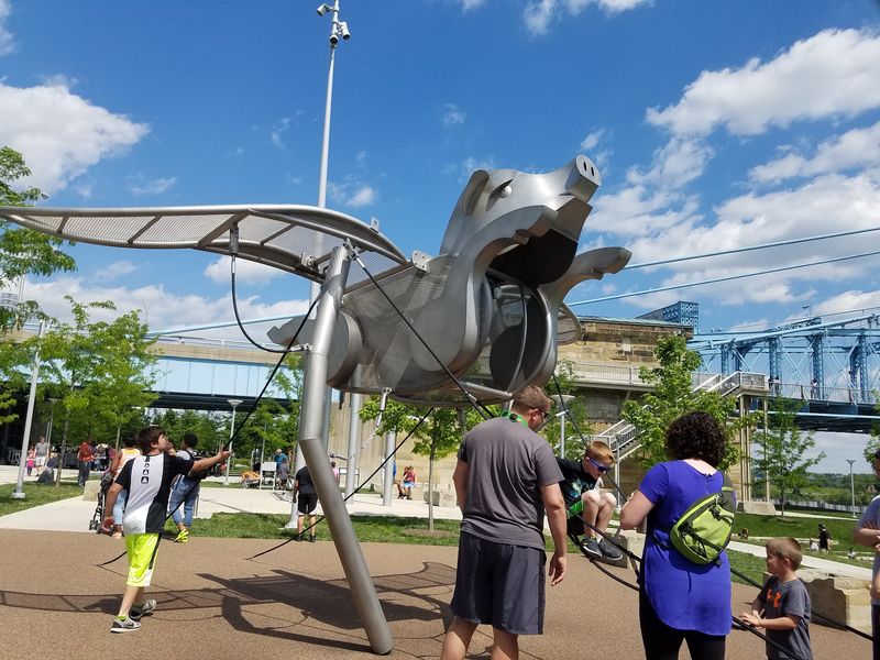 Say Hello To The Flying Pig