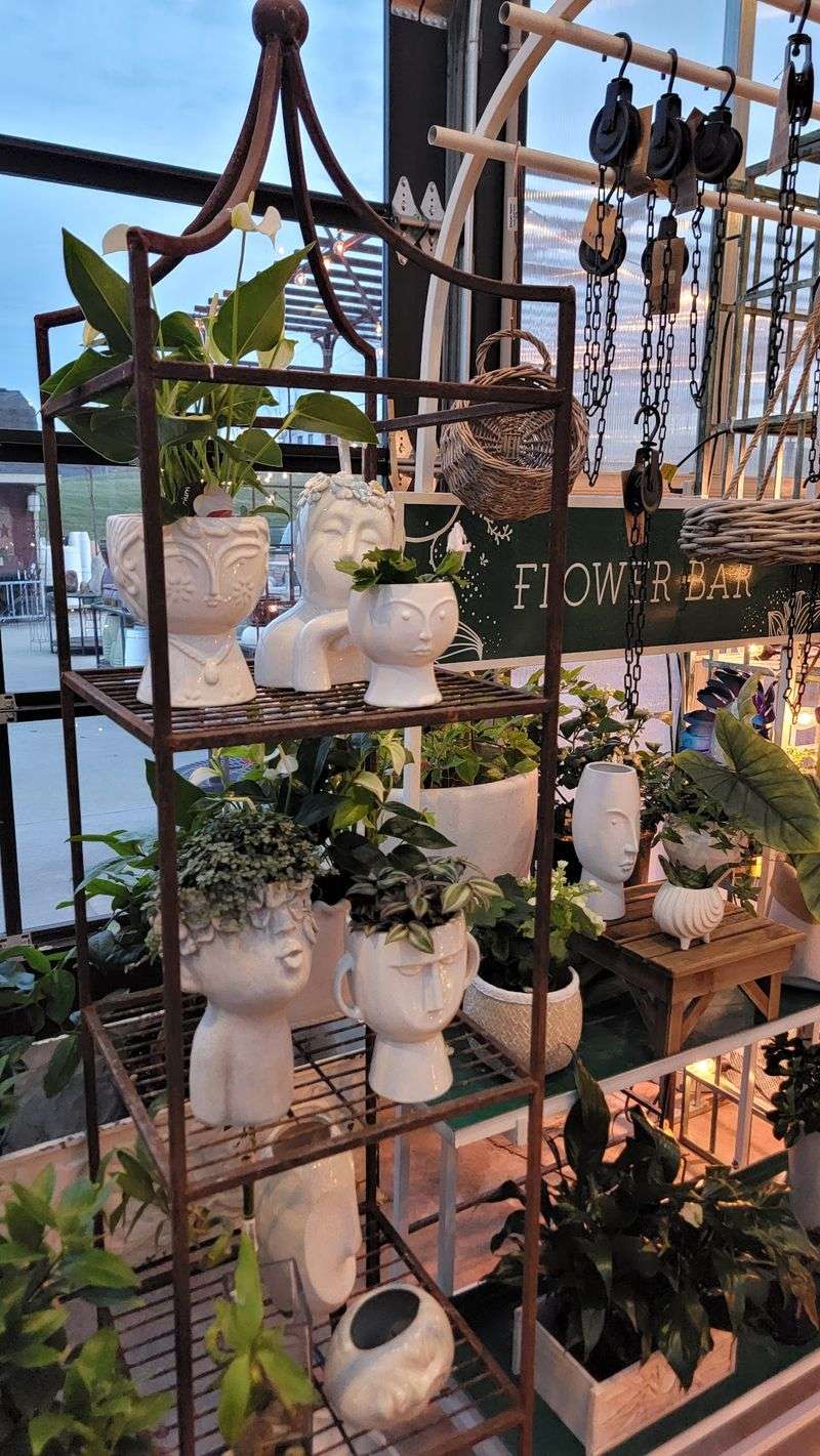 Rare Plants Hiding In The Back