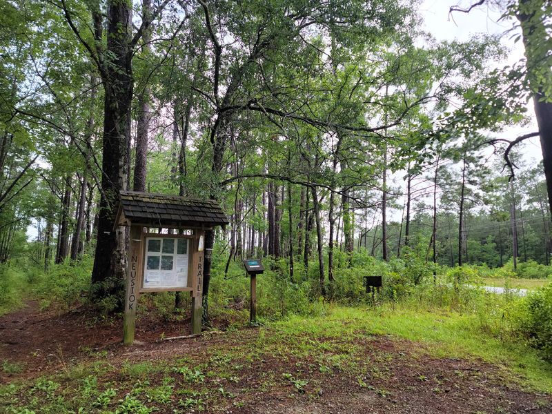 Neusiok Trail, Croatan National Forest, North Carolina