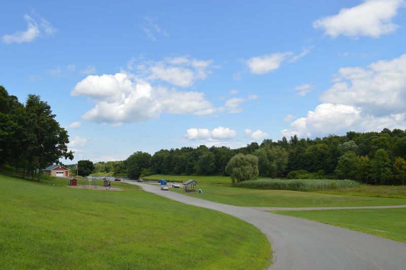 Racing Cars And Friendly Rivalries