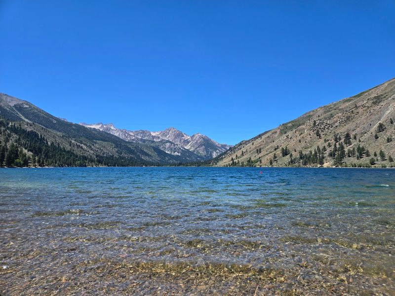 A Trout Found Nowhere Else On Earth