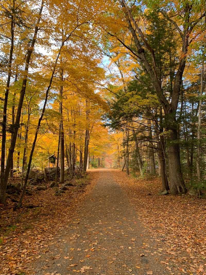 Smart Tips For Seasons, Parking And Trail Rules
