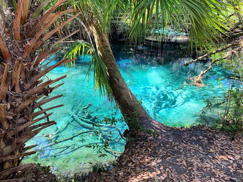 Juniper Springs Recreation Area, Silver Springs