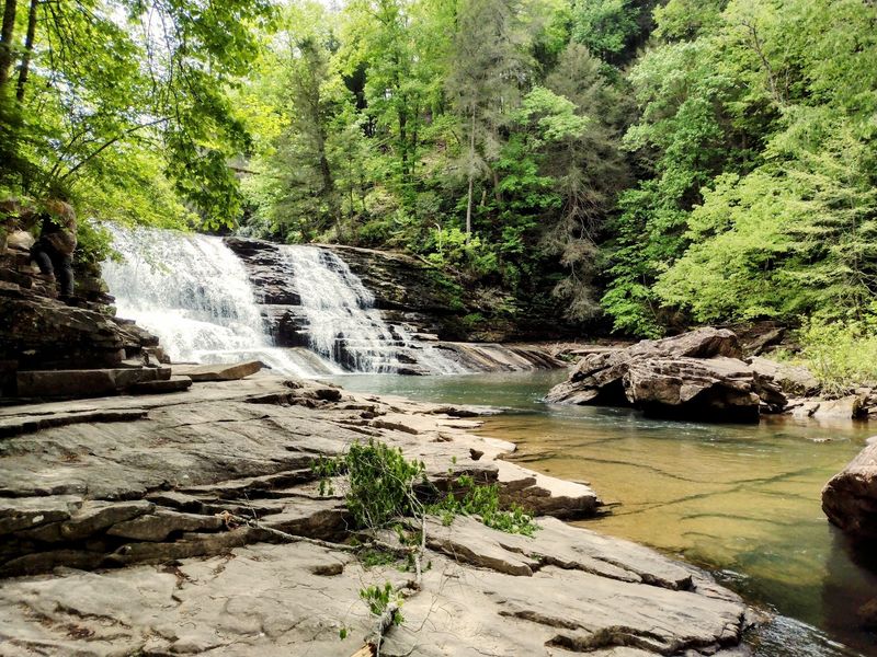 Fall Creek Falls Wildlife Management Area