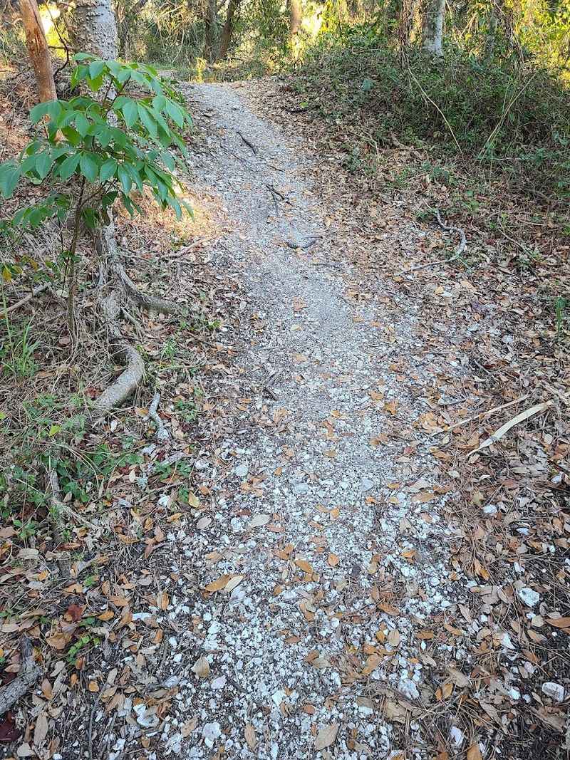 Ancient Shell Mounds Reveal A Story That Began Long Before Modern Tourism