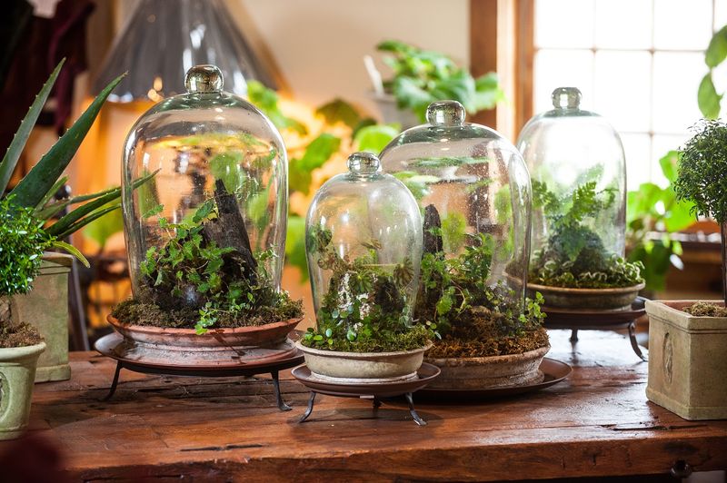 Indoor Vignettes That Blur The Line