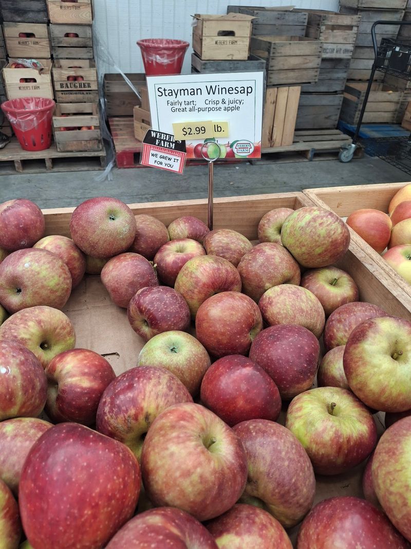Cider Pressed The Old-Fashioned Way