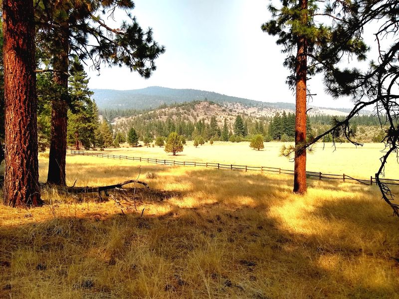 The Bizz Johnson Trail And Its Old Railroad Charm