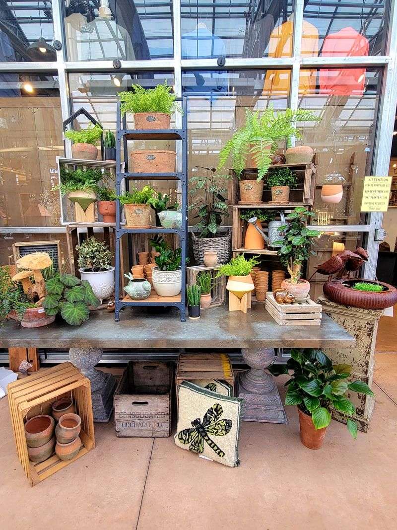 Pots And Containers Worth Collecting