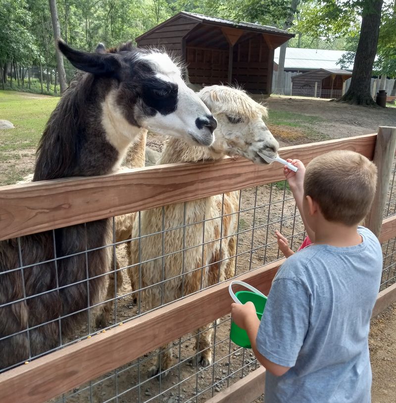 Food Buckets Turn Every Visitor Into A Favorite