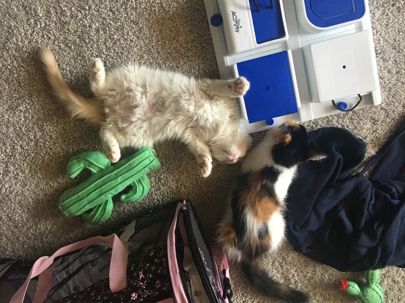 Round-The-Clock Work For Bottle Babies