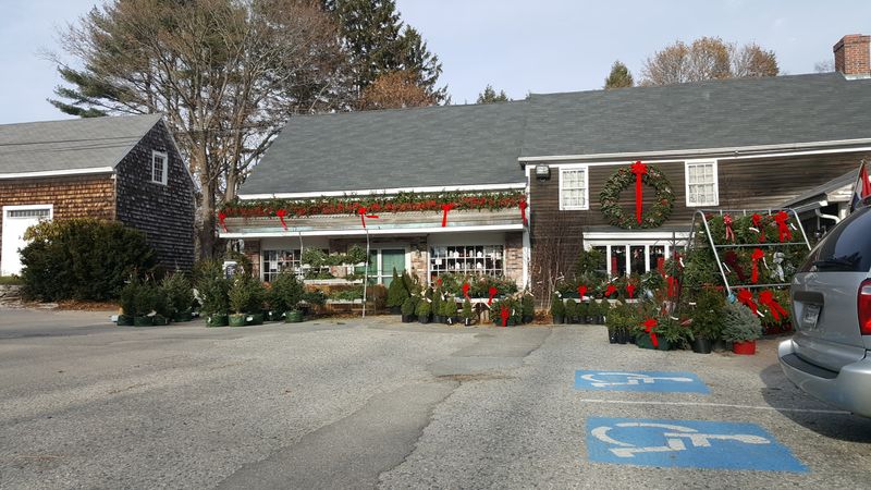 Holiday Decorations And Farm-Grown Christmas Trees