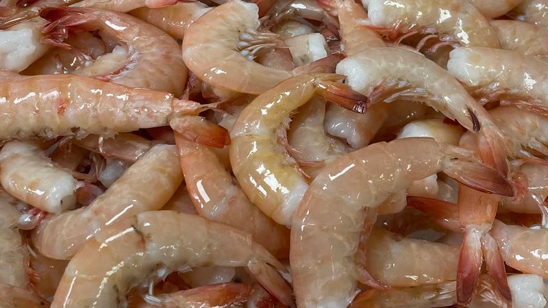The Sweetness Of Local Shrimp