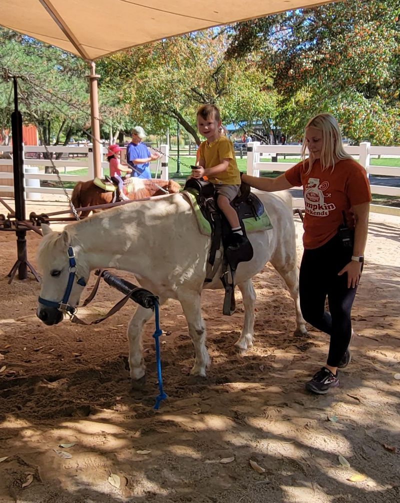 Pony Rides With A Seventy-Pound Rule