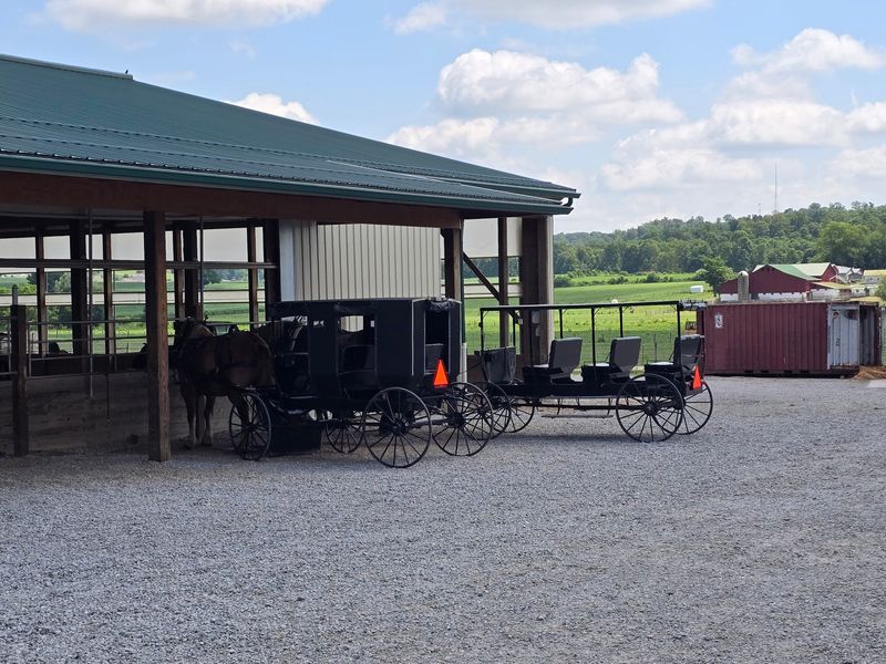 Buggy Rides Down The Country Lane