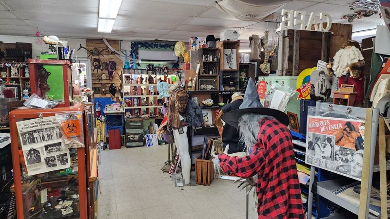 Prices That Keep Your Wallet Happy
