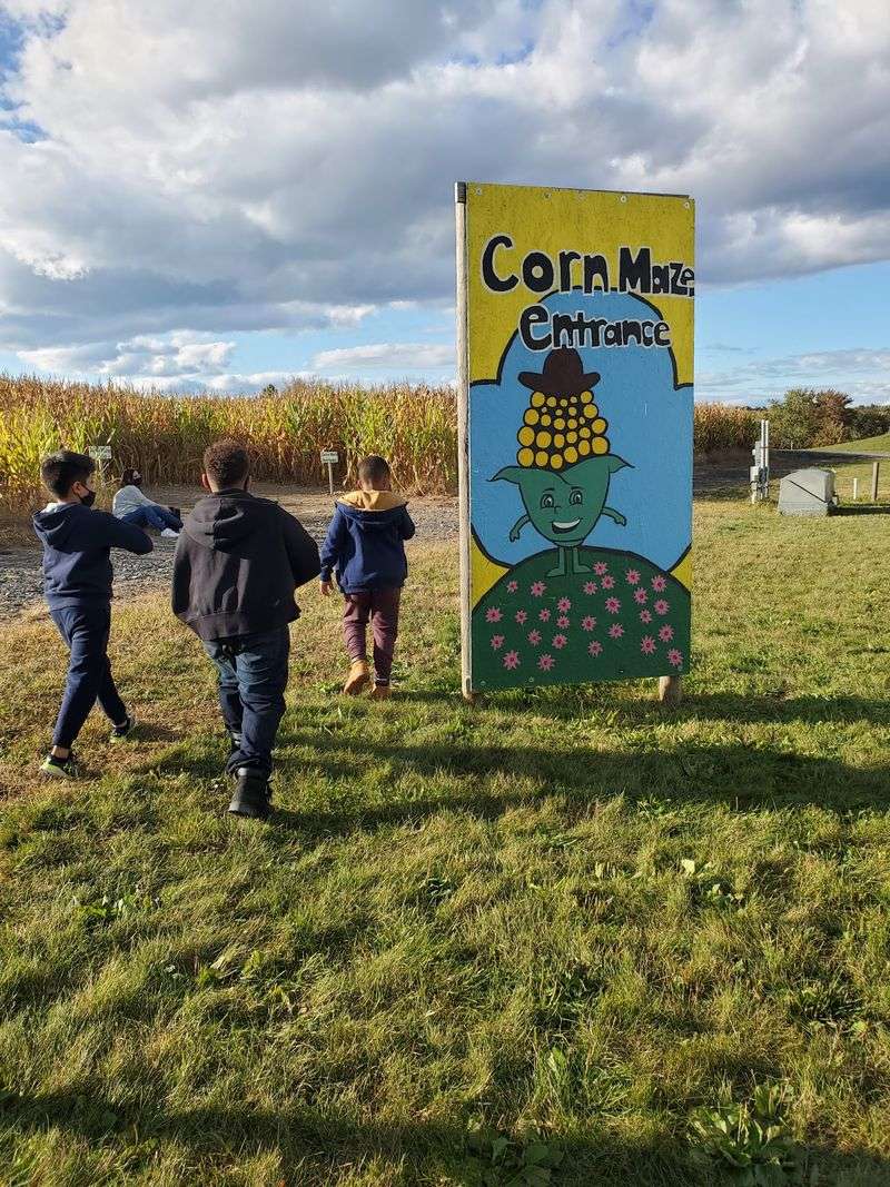 Birthday Parties With A Barnyard Twist