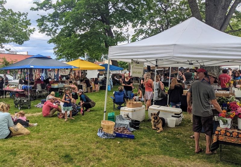 Market Mornings In Farmin Park