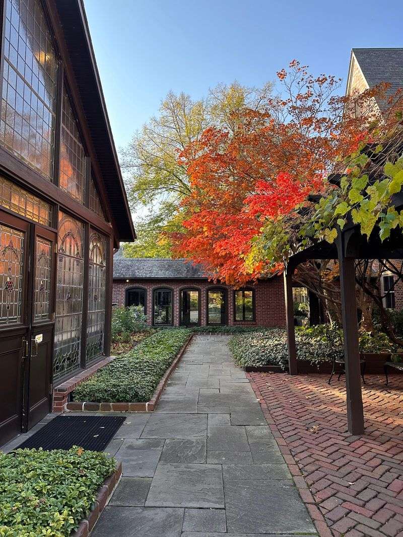Autumn Color Turns The Courtyard Into The Main Event