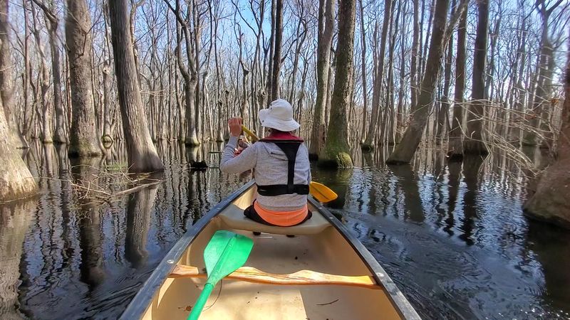 Ebenezer Creek