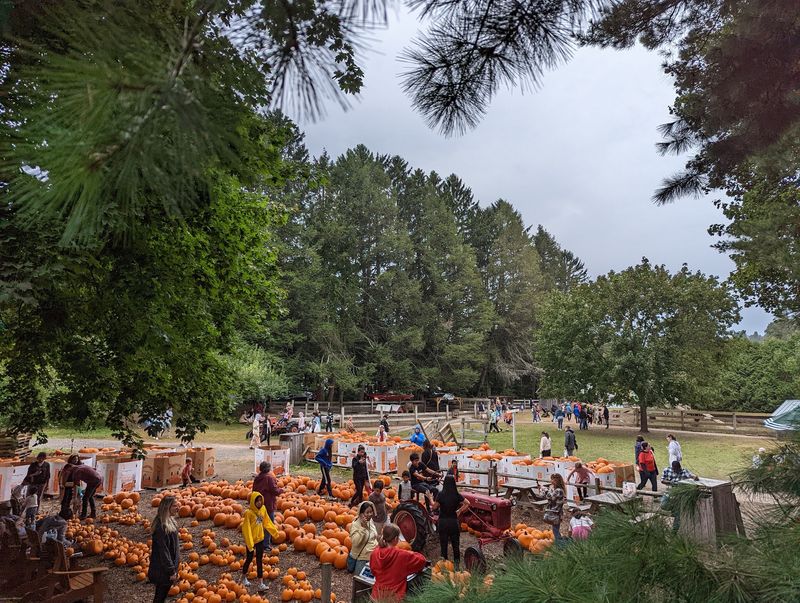 Hayrides Through Woods And Water