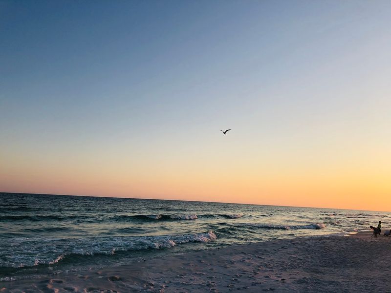 Beaches, Bay Views, And Nearby Detours