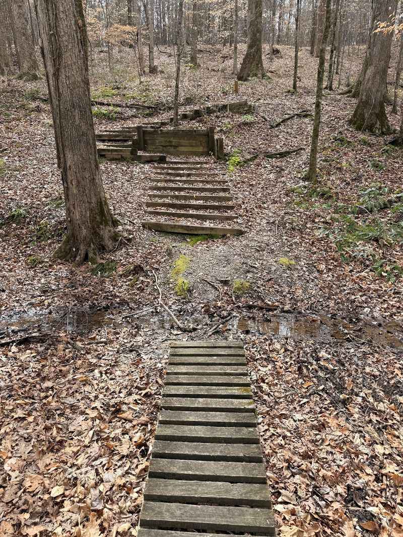 Why The Empty Trails Are The Whole Point