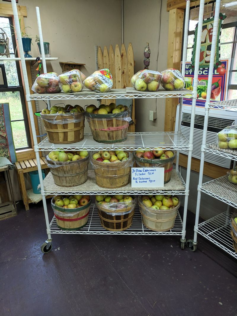 What To Carry Home From The Store
