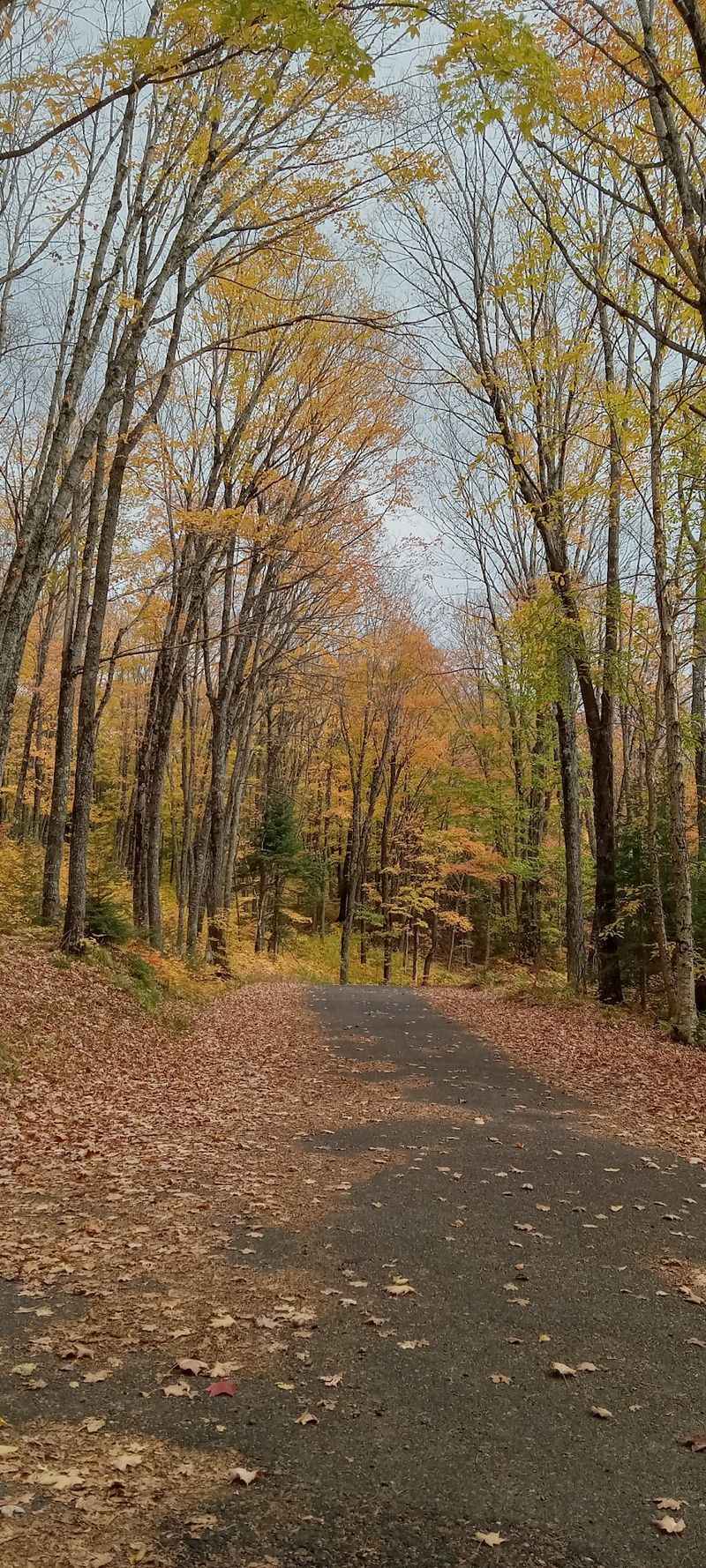Finding The Trailhead At The End Of The Road