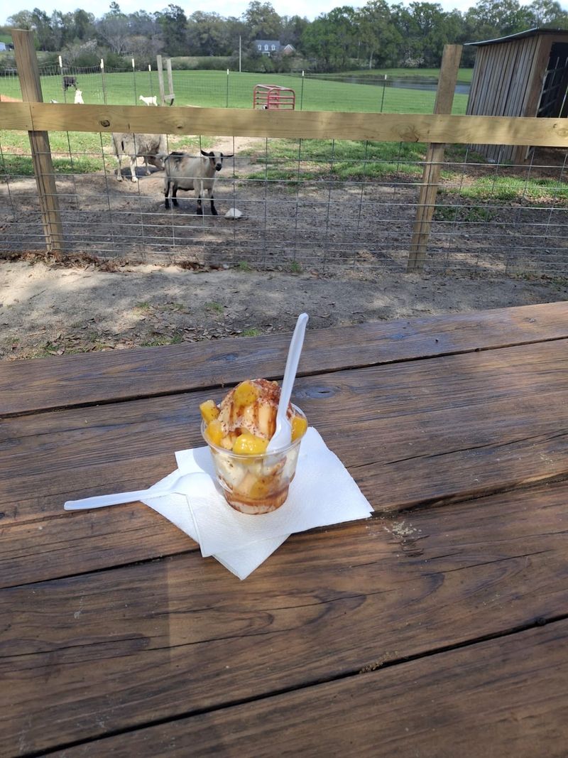 Scoops Of Farm-Made Ice Cream