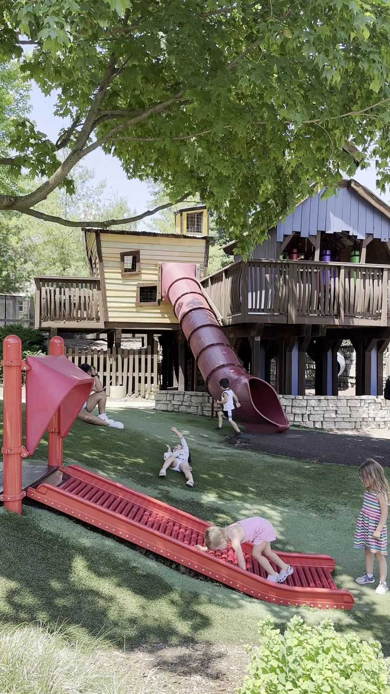 Adventure Playground And A Seventy-Foot Zip Line