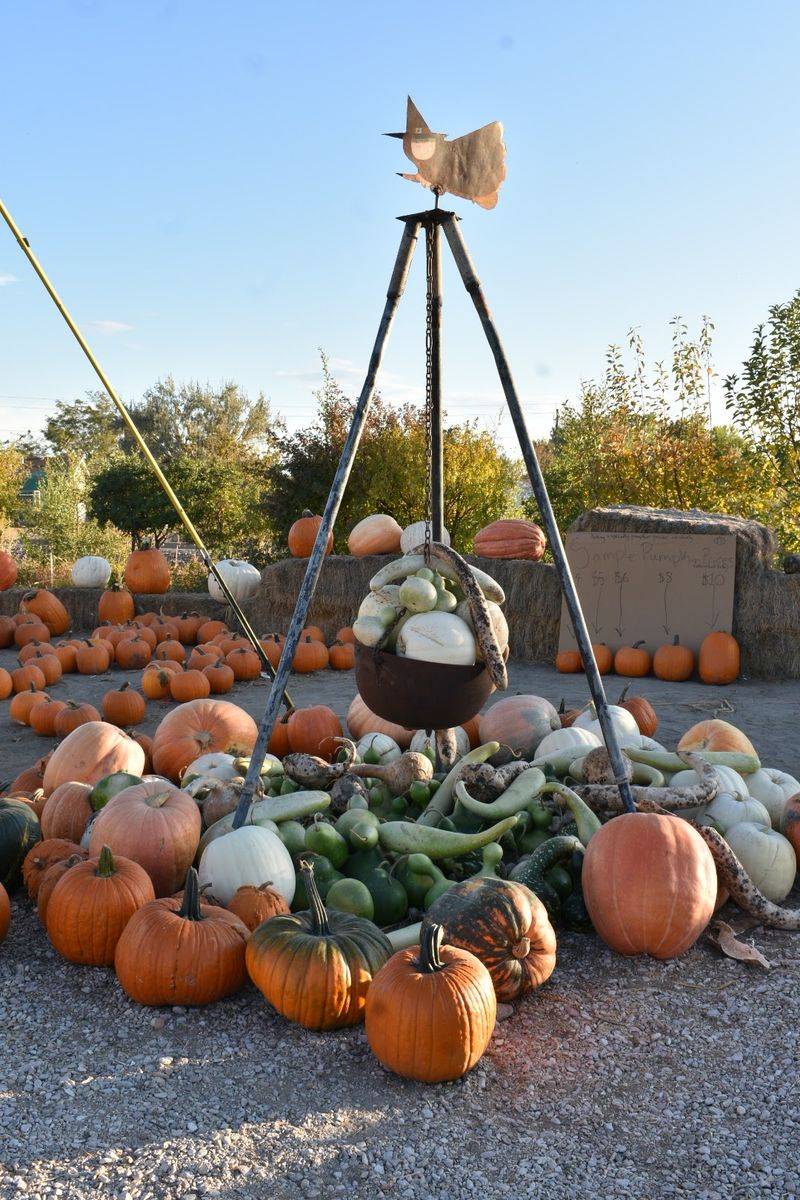 The Farm Stand Loaded With Melons And Baked Goods