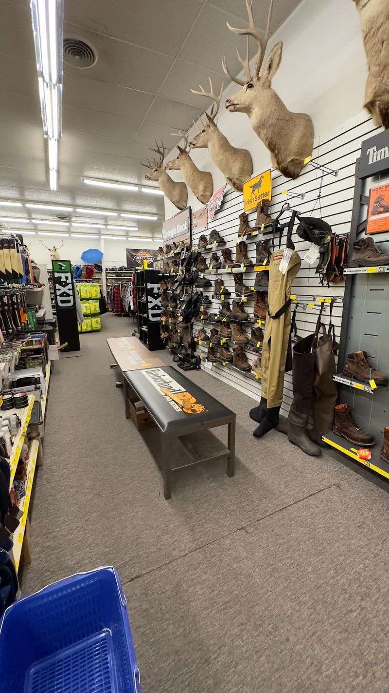 Boots, Toys, And Everything Else