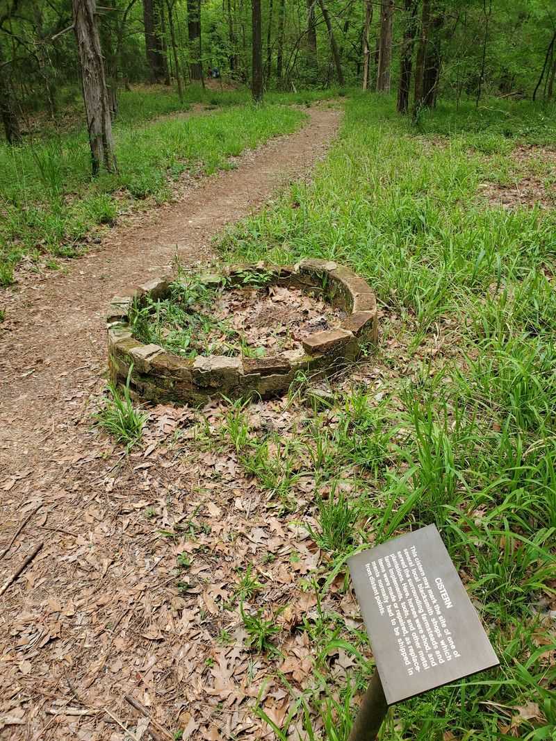 Rocky Springs Trail - Natchez Trace Parkway, Hermanville