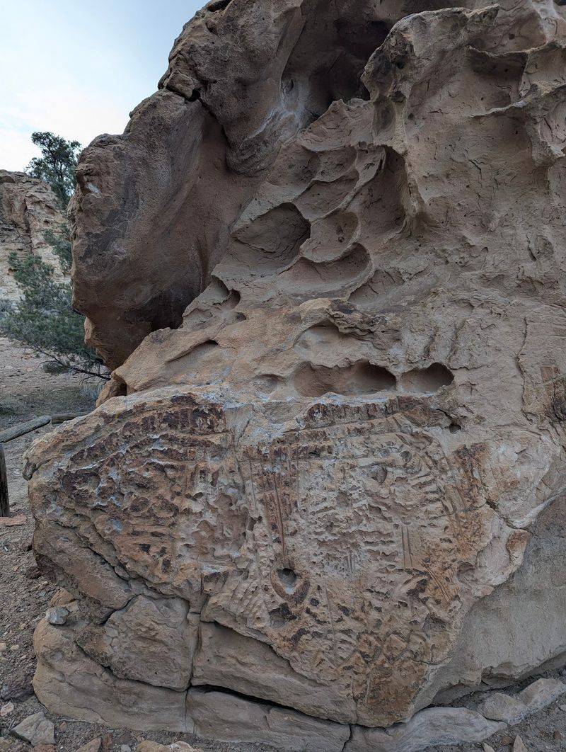 Hickison Petroglyph Recreation Area, Austin, NV