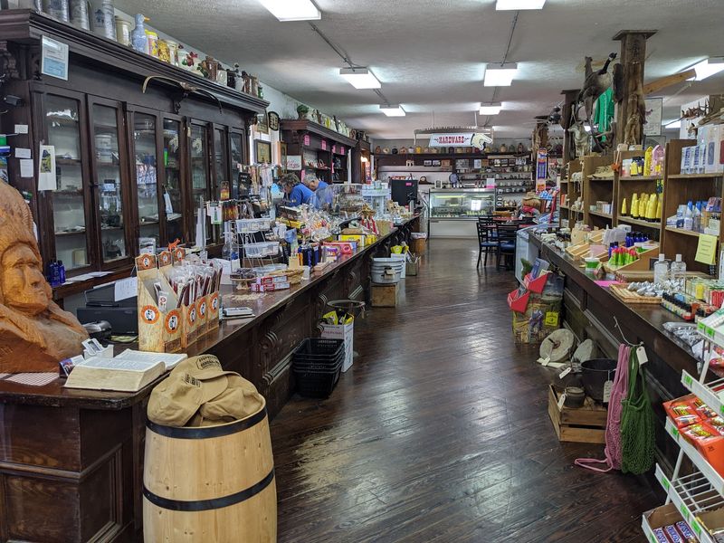 A Welcoming Counter Where Conversation Comes Free