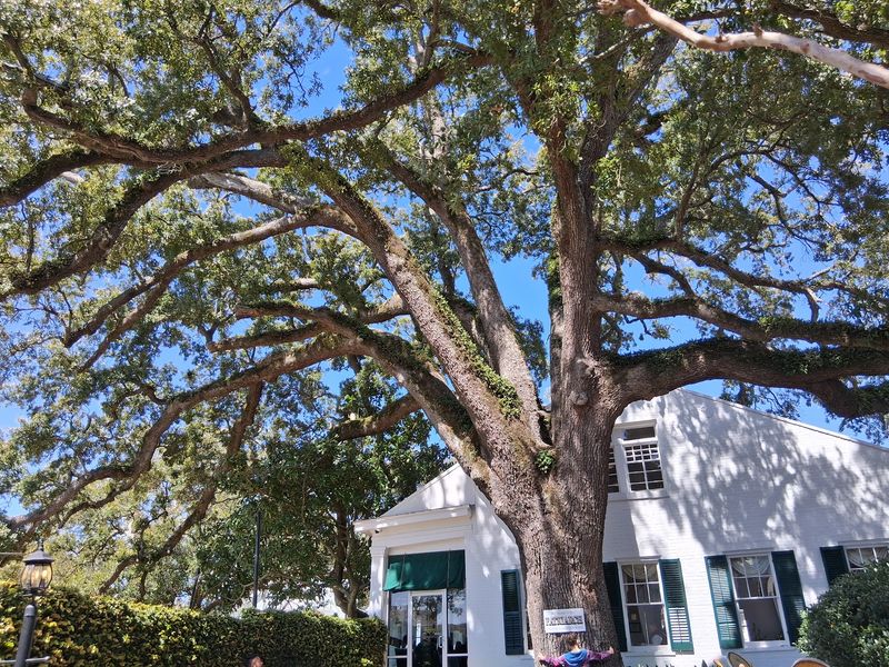 Mary Mahoney's | Old French House