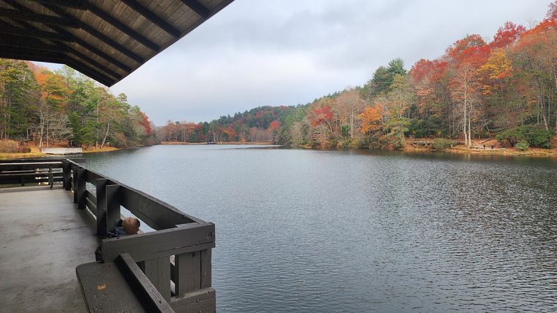 Leaf Season Drives Worth The Detour