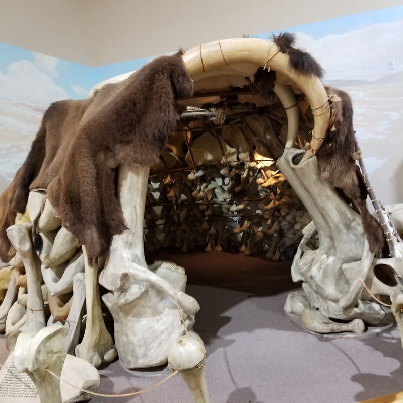 Exhibits That Go Beyond The Bonebed
