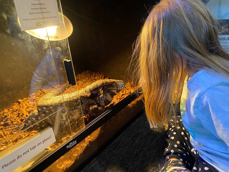 Ancient Scrolls And Live Reptiles Under One Roof